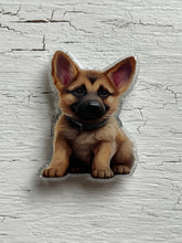 Load image into Gallery viewer, Best in Show ~ Dog badge reels
