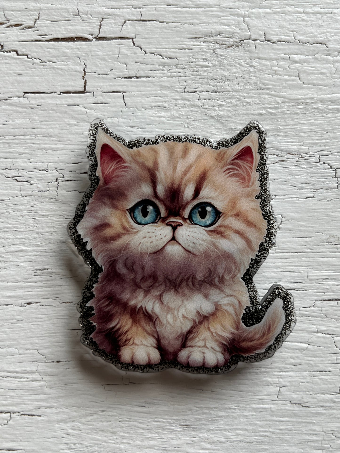 Cats with character ~ Cat badge reels